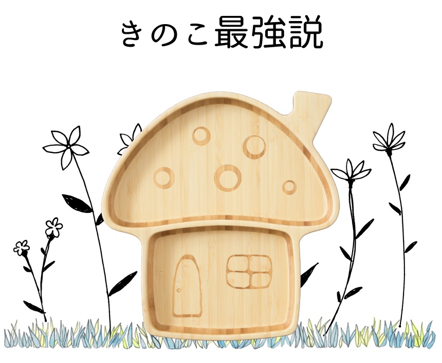 栄養満点きのこ!