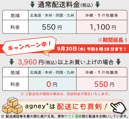 通常配送料金